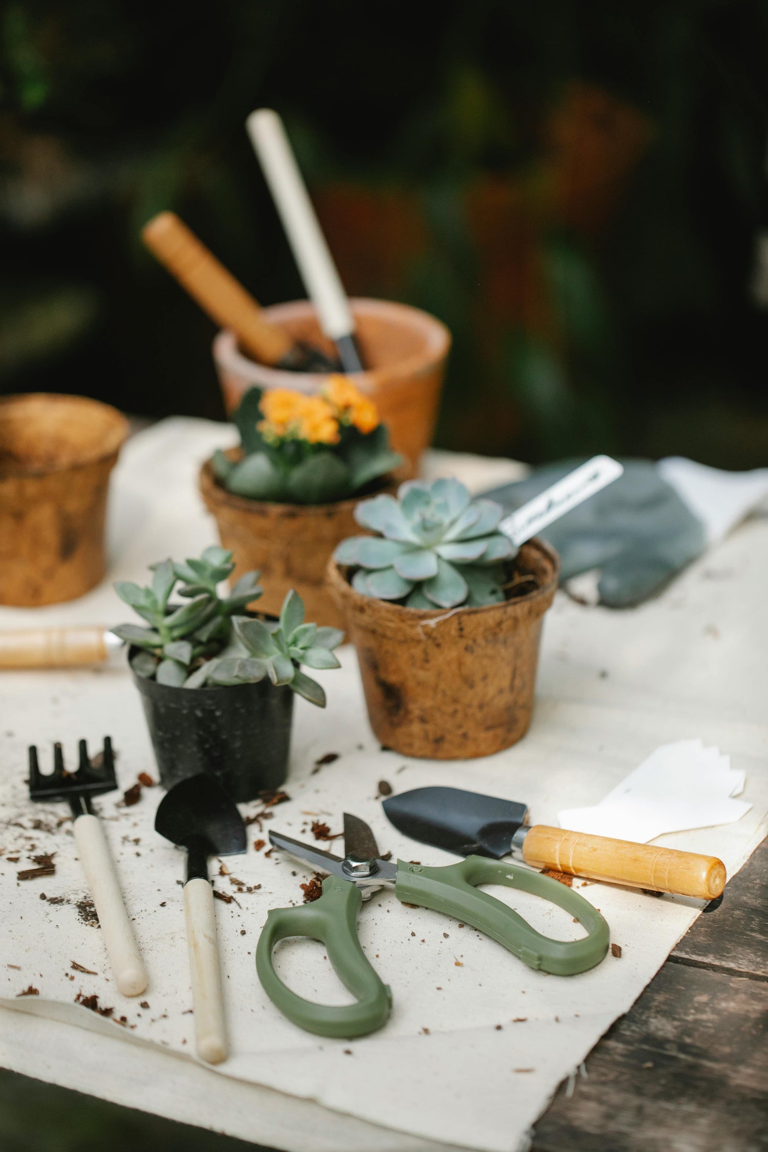 Home Gardening