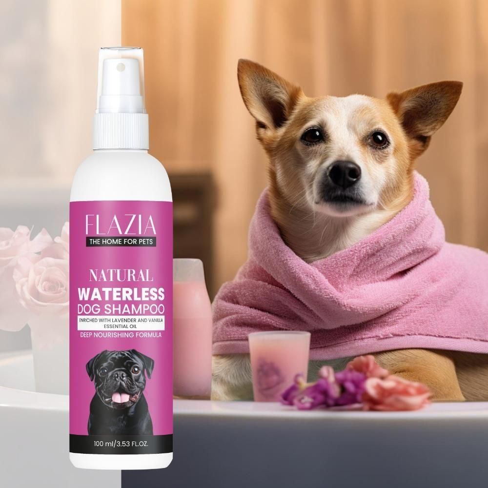 Flazia Pets Natural Waterless Dog Shampoo 100 ml (Pack of 1)